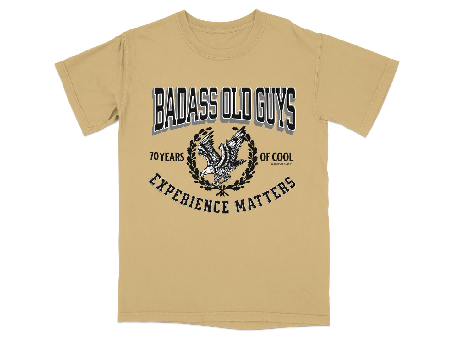BADASS OLD GUYS 70 YEARS OF COOL EXPERIENCE MATTERS product type