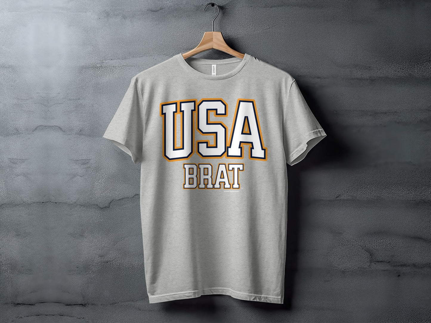 Grey t-shirt with "USA BRAT" text design, hanging on a wooden hanger.