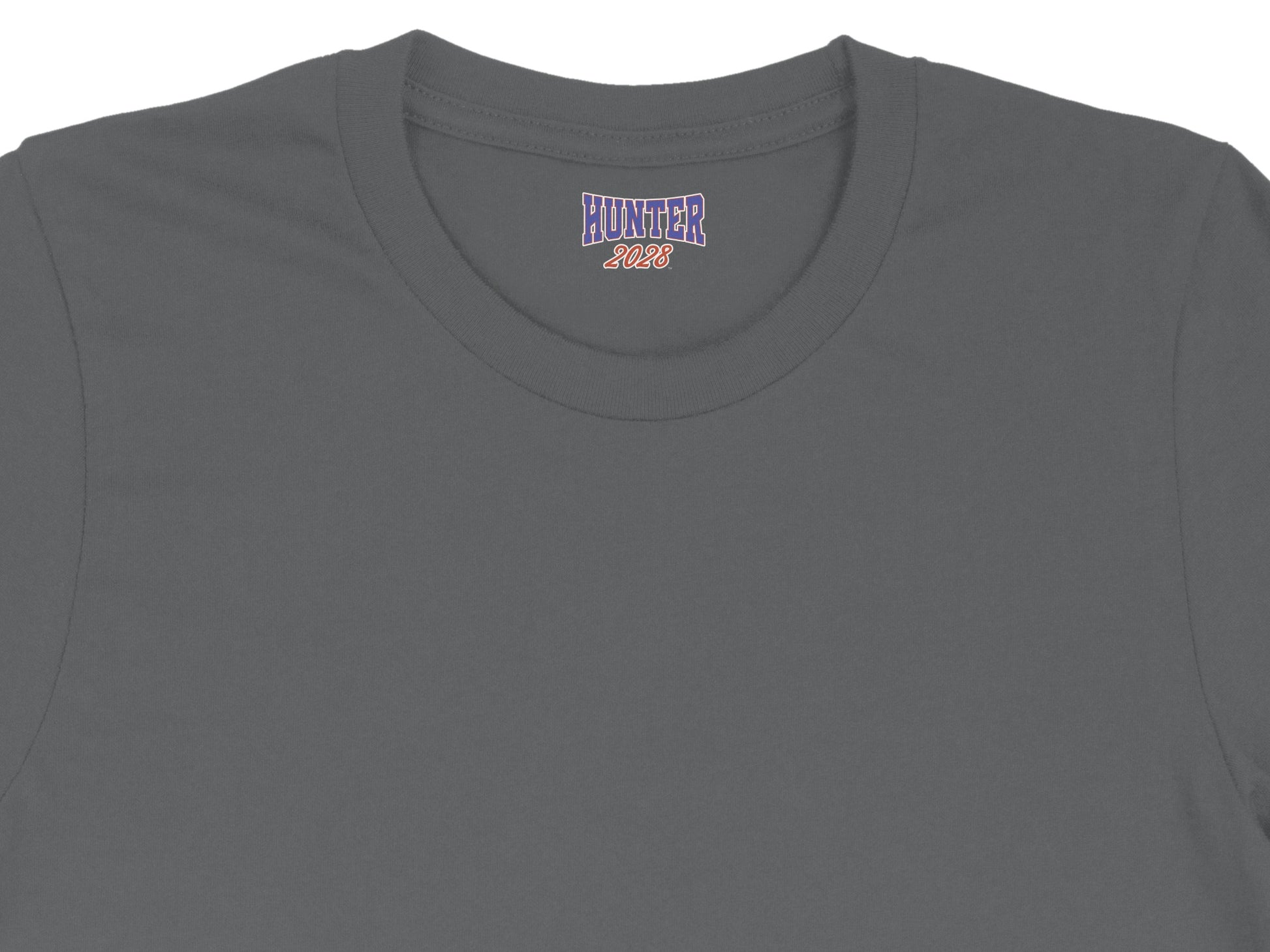 Gray t-shirt with "HUNTER 2028" logo on the neck label.