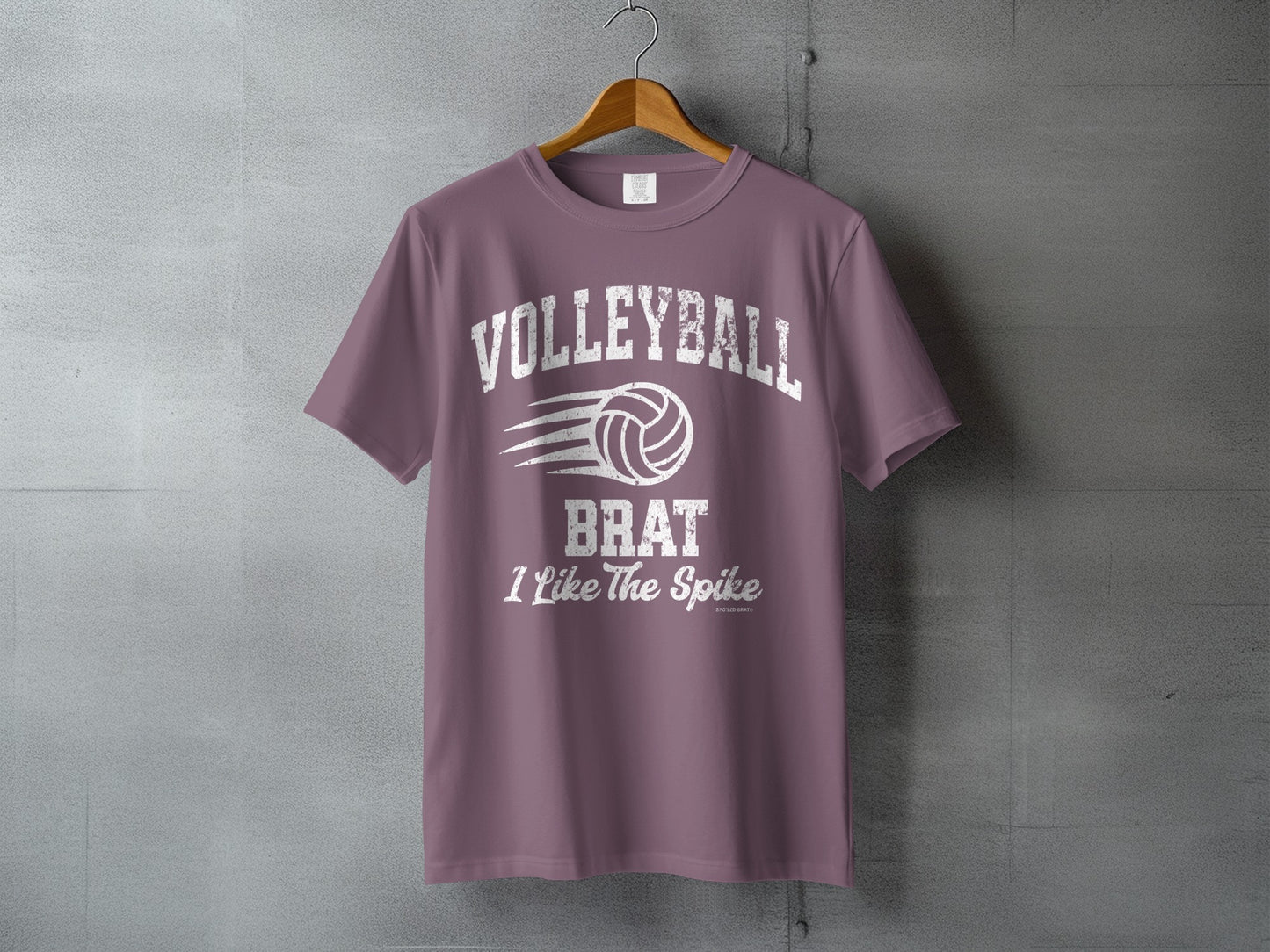 Volleyball Brat I Like The Spike T-shirt