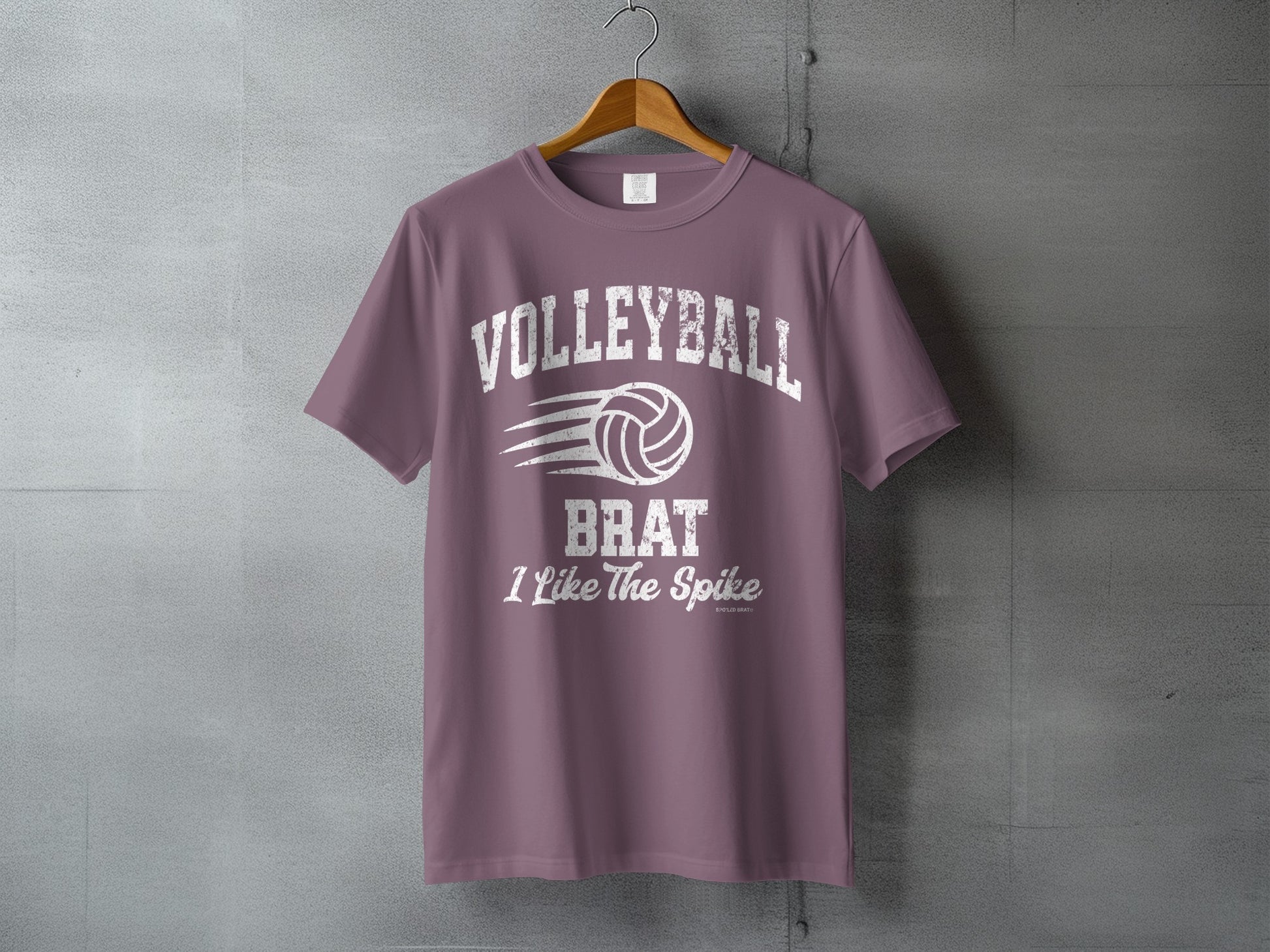 Volleyball Brat I Like The Spike T-shirt