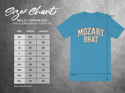 Bella + Canvas 3001 unisex jersey short sleeve tee size chart in inches.